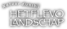 Flevolandschap
